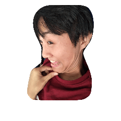 [LINEスタンプ] He is a stupid pig.