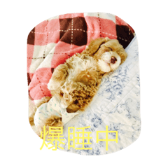 [LINEスタンプ] フク2