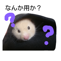 [LINEスタンプ] 関西ハムスター一家
