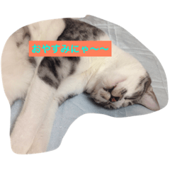 [LINEスタンプ] よろしく〜〜