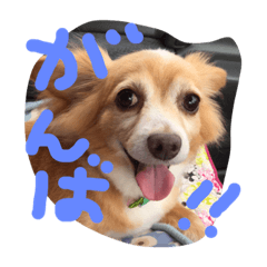 [LINEスタンプ] モコ 2
