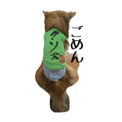 [LINEスタンプ] ポコさん『日常会話』