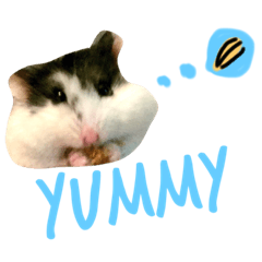 [LINEスタンプ] 癒し系ニコちゃんとおまぬけなこうしくん
