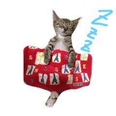 [LINEスタンプ] うちのにゃんこ みーこ