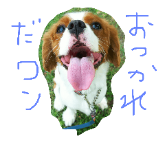 [LINEスタンプ] キャバタンプ