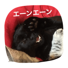 [LINEスタンプ] 使えるニャチジョウstamp3