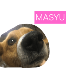 [LINEスタンプ] Lily by MASYU