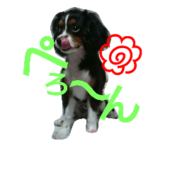 [LINEスタンプ] 可愛いやつら