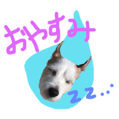 [LINEスタンプ] マイロの生活