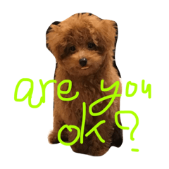 [LINEスタンプ] POP is DOG