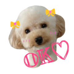 [LINEスタンプ] ベル♡♡ 