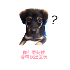 [LINEスタンプ] milk dog 