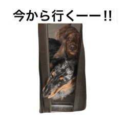 [LINEスタンプ] ロタマリブ22