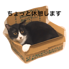 [LINEスタンプ] うずとたび ときどきひじき 