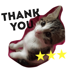 [LINEスタンプ] ナギスタンプ