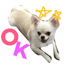 [LINEスタンプ] ソロくんSTAMP