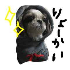 [LINEスタンプ] シーズーのハルちゃま