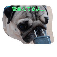 [LINEスタンプ] パグのゴン