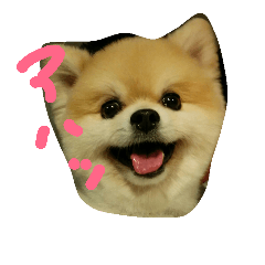 [LINEスタンプ] ソラさん