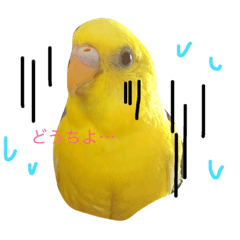 [LINEスタンプ] らぶるち