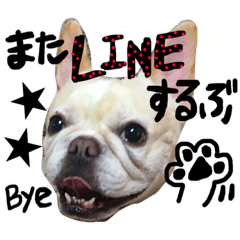 [LINEスタンプ] フレブル姉妹(ぶちゃりーず)