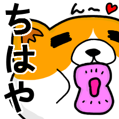 [LINEスタンプ] ちはやより愛を込めて（名前スタンプ・猫）