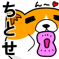 [LINEスタンプ] ちとせより愛を込めて（名前スタンプ・猫）