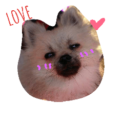 [LINEスタンプ] Pretty girl Part 1