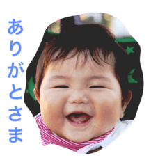 [LINEスタンプ] パラダイストリオ