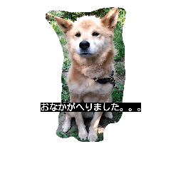 [LINEスタンプ] 犬のつぶやき。