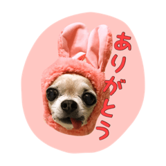 [LINEスタンプ] ルビィおじいちゃんのスタンプ2