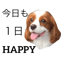 [LINEスタンプ] 幸せを運ぶハッピー！