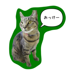 [LINEスタンプ] ナリタの日常2