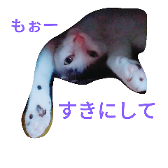 [LINEスタンプ] natsu＆ruru
