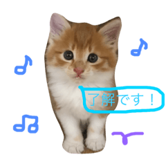 [LINEスタンプ] こばん君