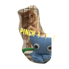[LINEスタンプ] handmaid pretty cat