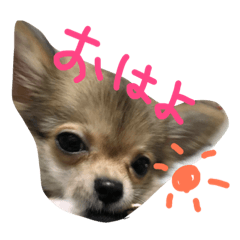 [LINEスタンプ] s5