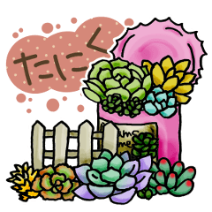 [LINEスタンプ] かわいい多肉植物