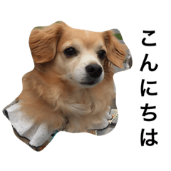 [LINEスタンプ] るなの日常言葉2