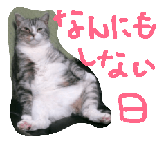 [LINEスタンプ] 龍馬だよパート②