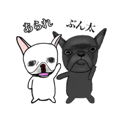 [LINEスタンプ] フレンチブル 『ぶん太』と『あられ』