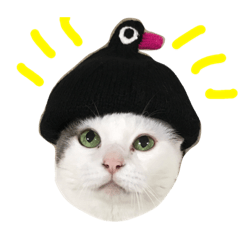 [LINEスタンプ] 猫の もなかだよ！
