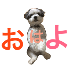 [LINEスタンプ] わが家のくうたん