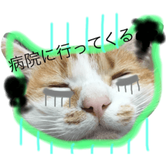 [LINEスタンプ] かわいいチビ