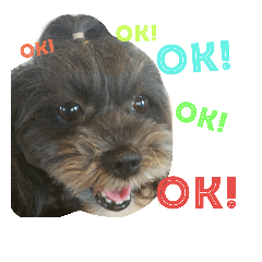 [LINEスタンプ] qoo's