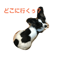 [LINEスタンプ] ペット心