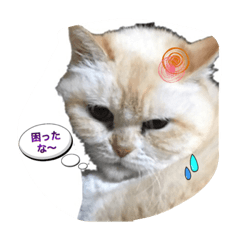 [LINEスタンプ] イブのスタンプ3