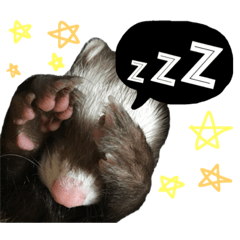 [LINEスタンプ] ここあ すたんぷ