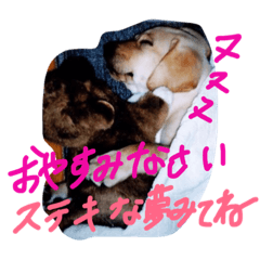[LINEスタンプ] 我が家のラブくん。
