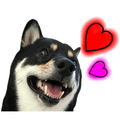 [LINEスタンプ] ワンで挨拶